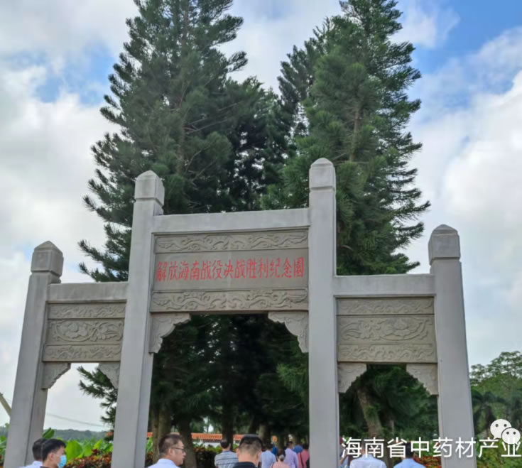 【黎苗药材】海南省中药材产业协会参加省农业农村行业党委党史学习教育活动